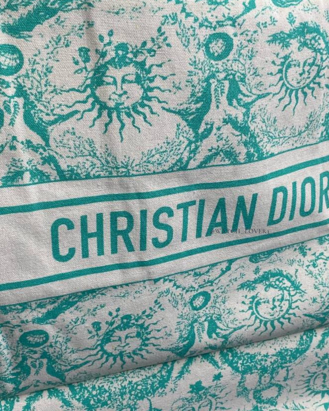 Dior Tote Bag Green - 2024