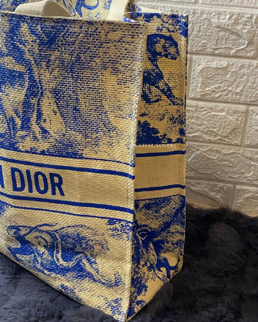 Dior Tote Bag Blue - 2024