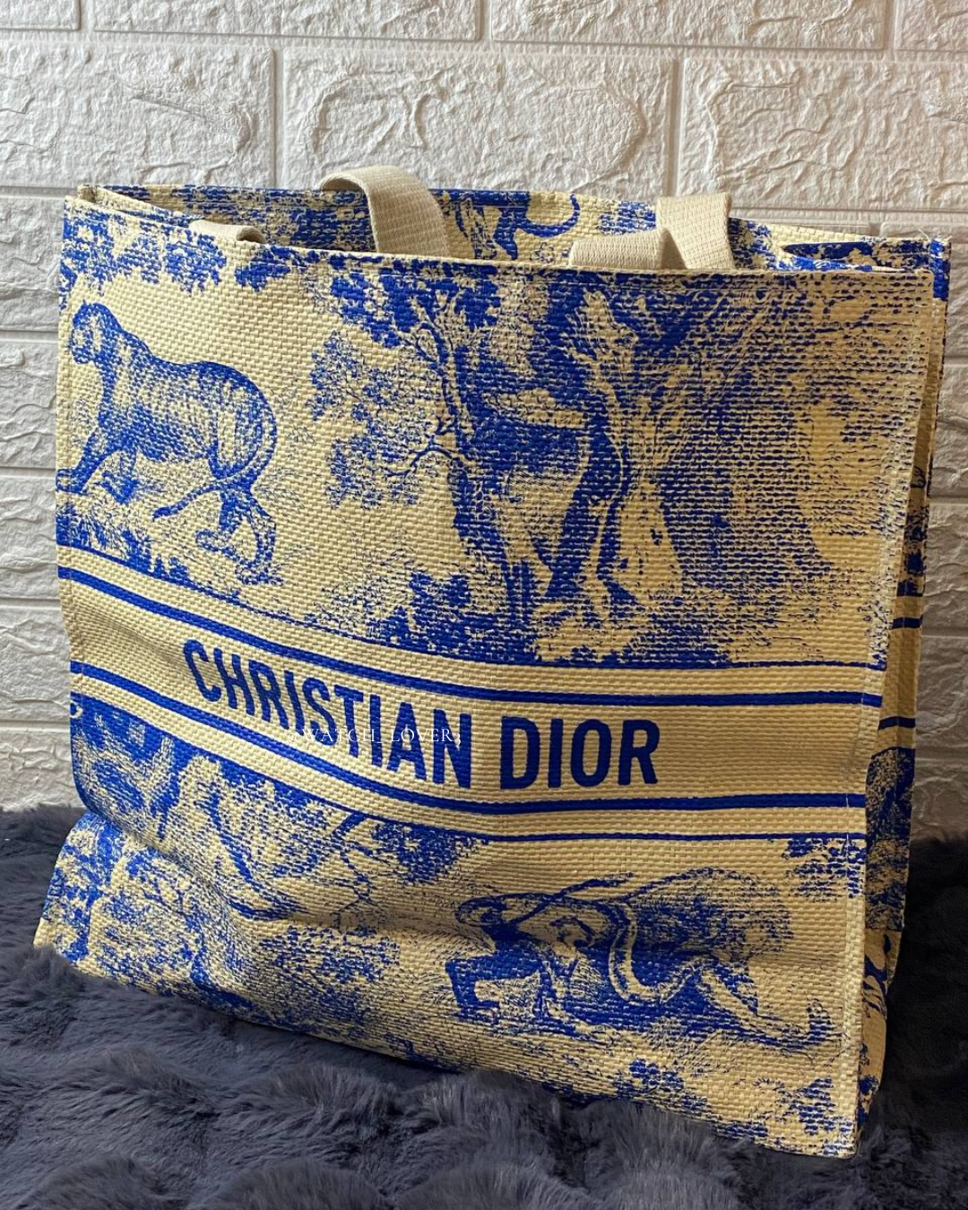 Dior Tote Bag Blue - 2024