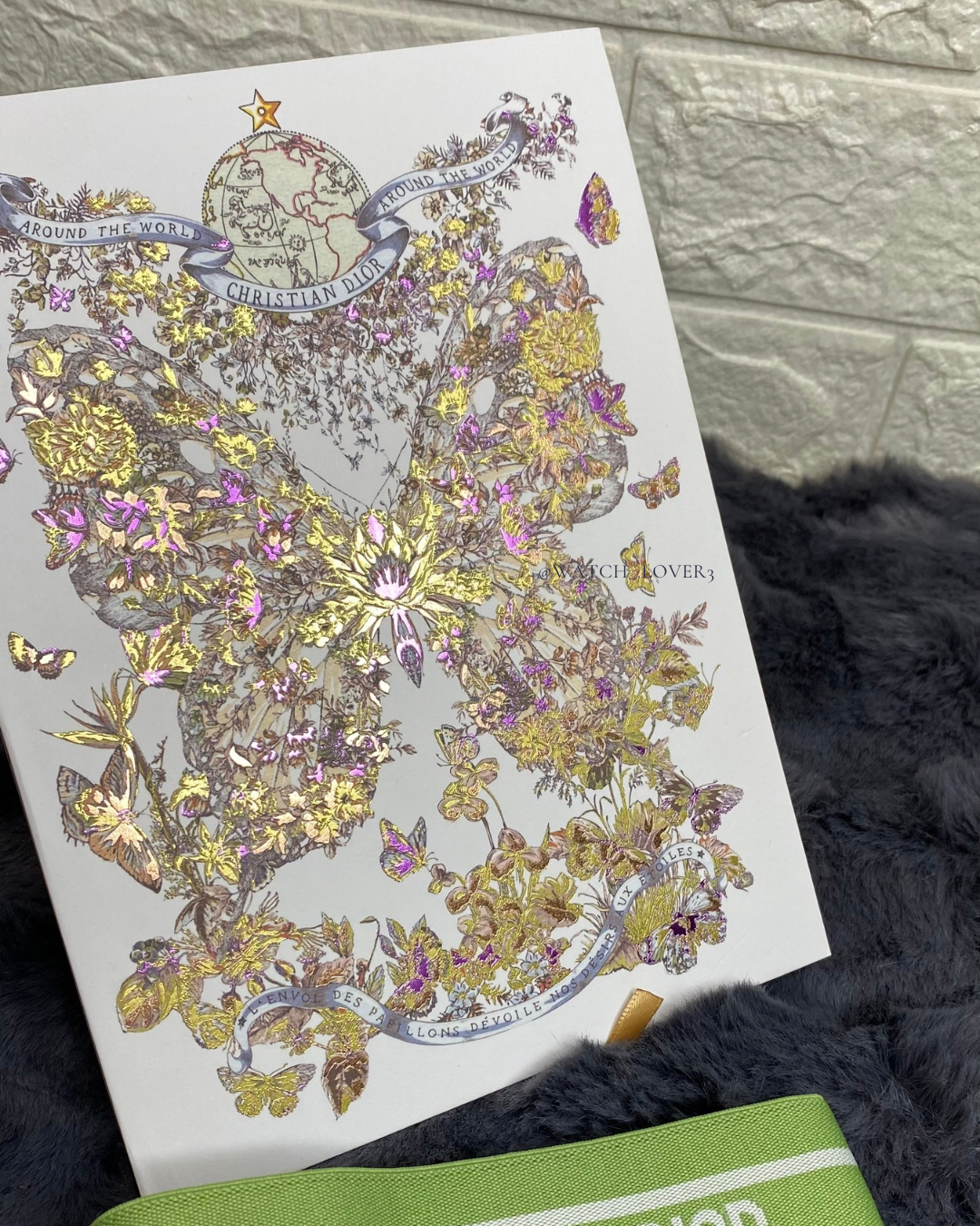 Dior 2024 Butterfly Notebook