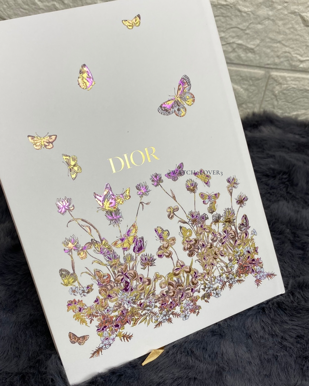Dior 2024 Butterfly Notebook