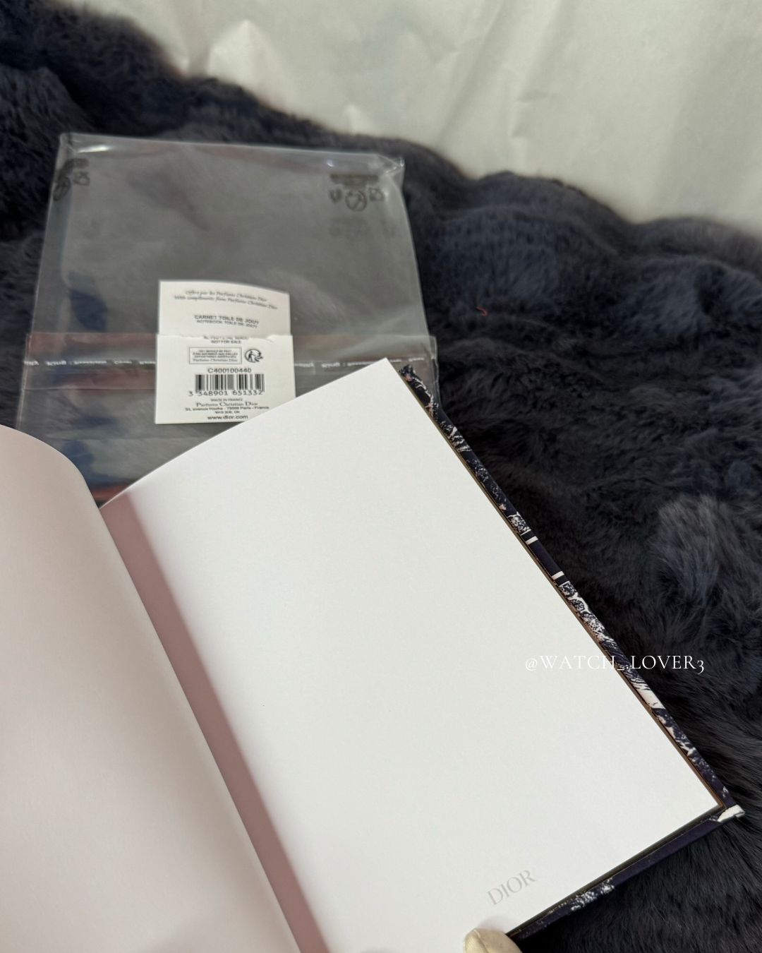 Dior Notebook Toile De Jouy 2023
