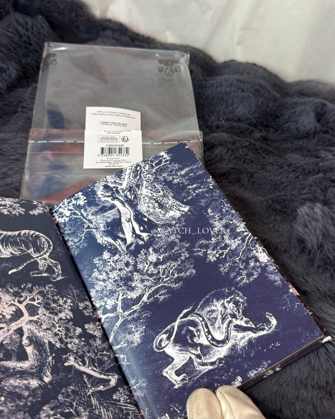 Dior Notebook Toile De Jouy 2023