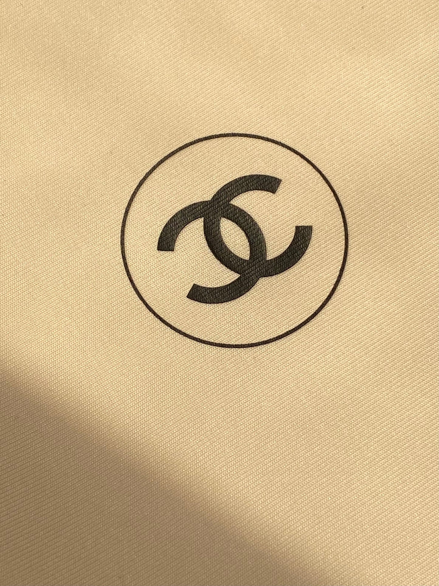 Chanel Bag Beige (S Size)